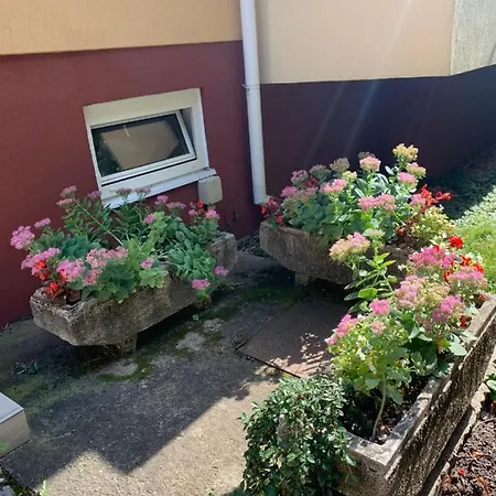 Konig Apartment